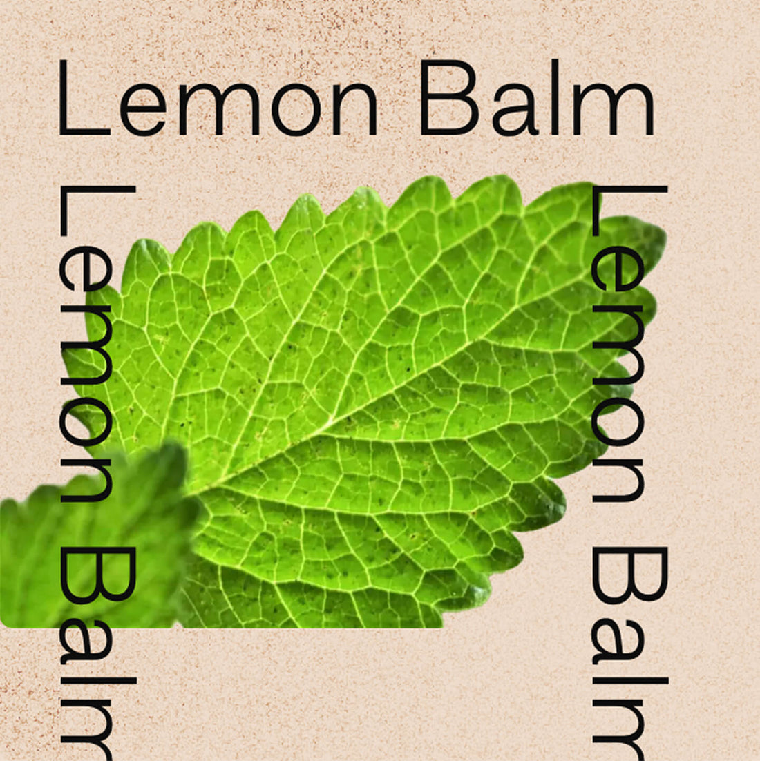 I didn’t want another wellness brand. I wanted something practical.