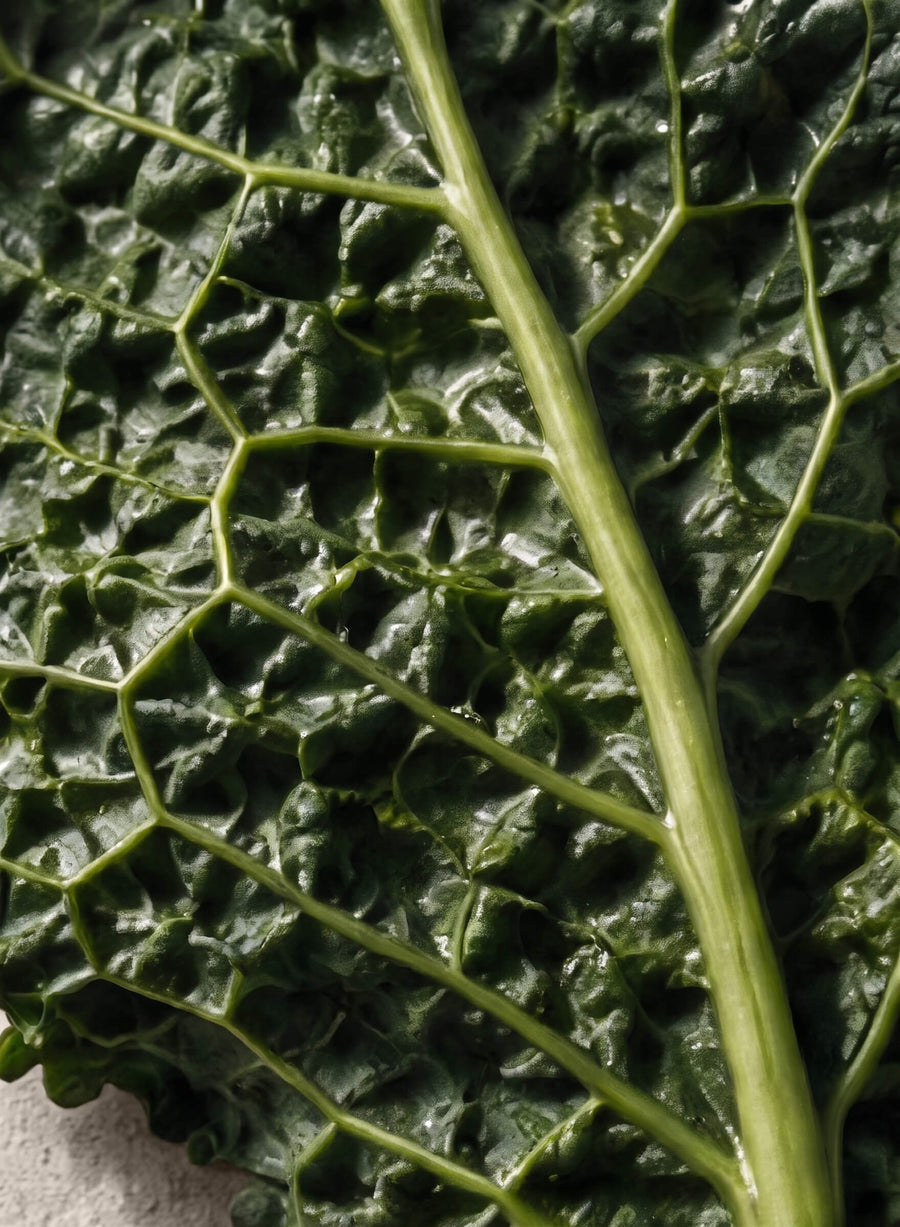 Folate (Calcium L-Methylfolate) · Vitamin B9