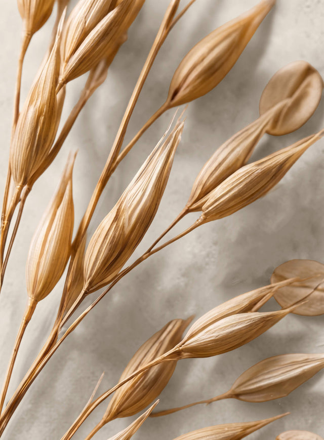 Thiamine · Vitamin B1